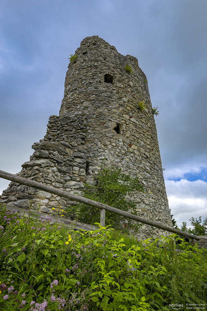 Hohenfreyberg Ruine Turm