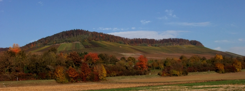 Hohenhaslach