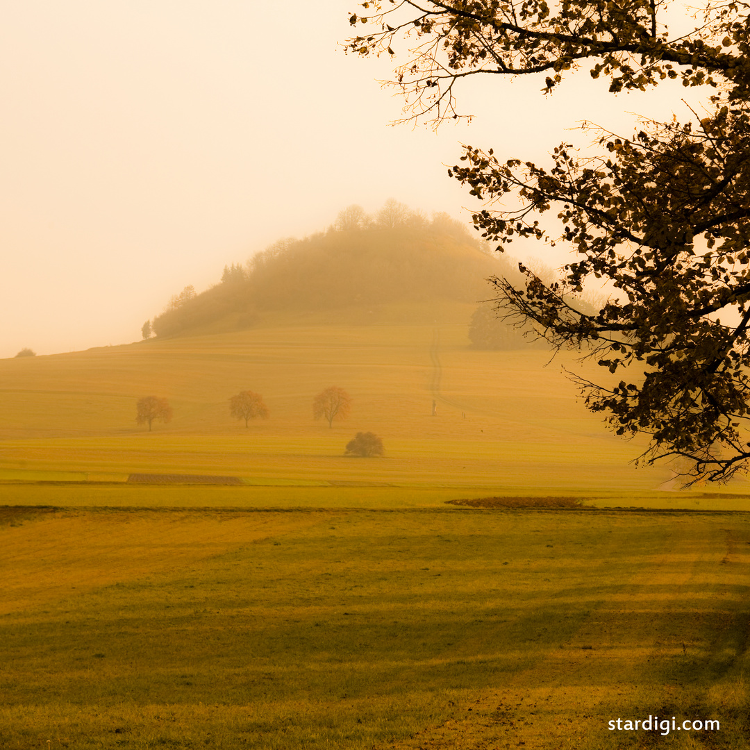 Hohenkarpfen