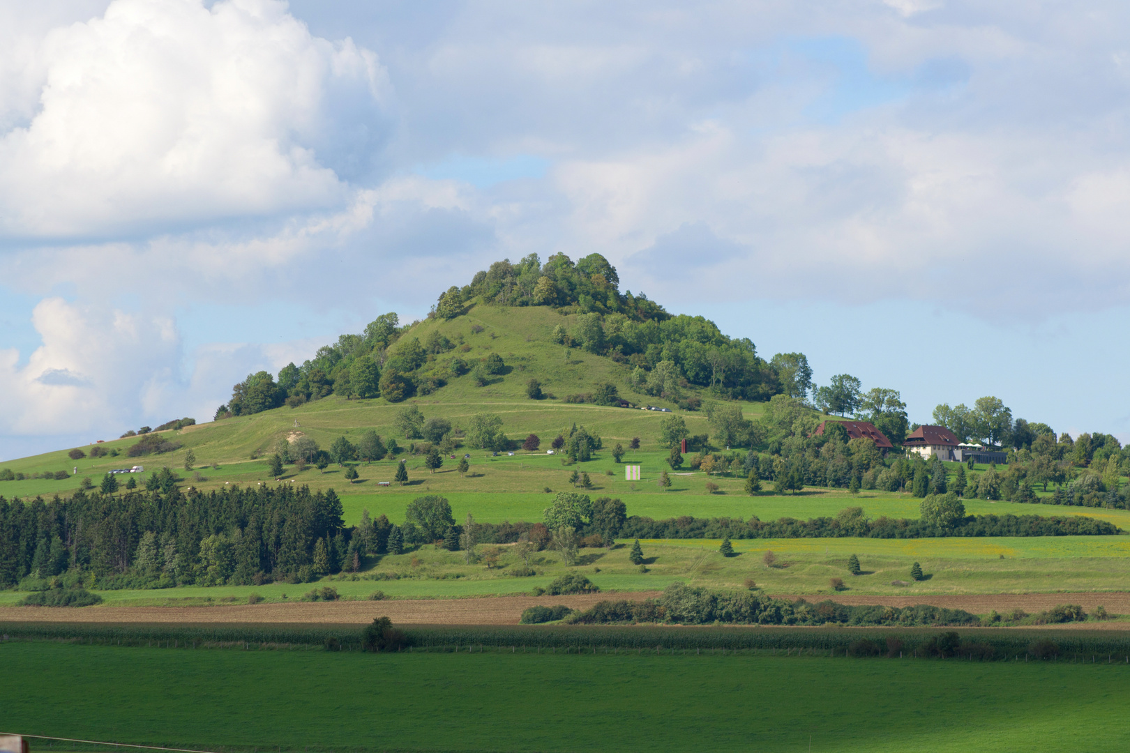 Hohenkarpfen von Seitingen-Oberflacht