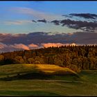 Hohenkrähen im Abendlicht