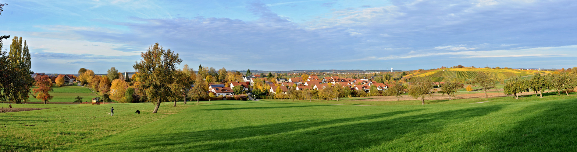 Hohenloher Ebene