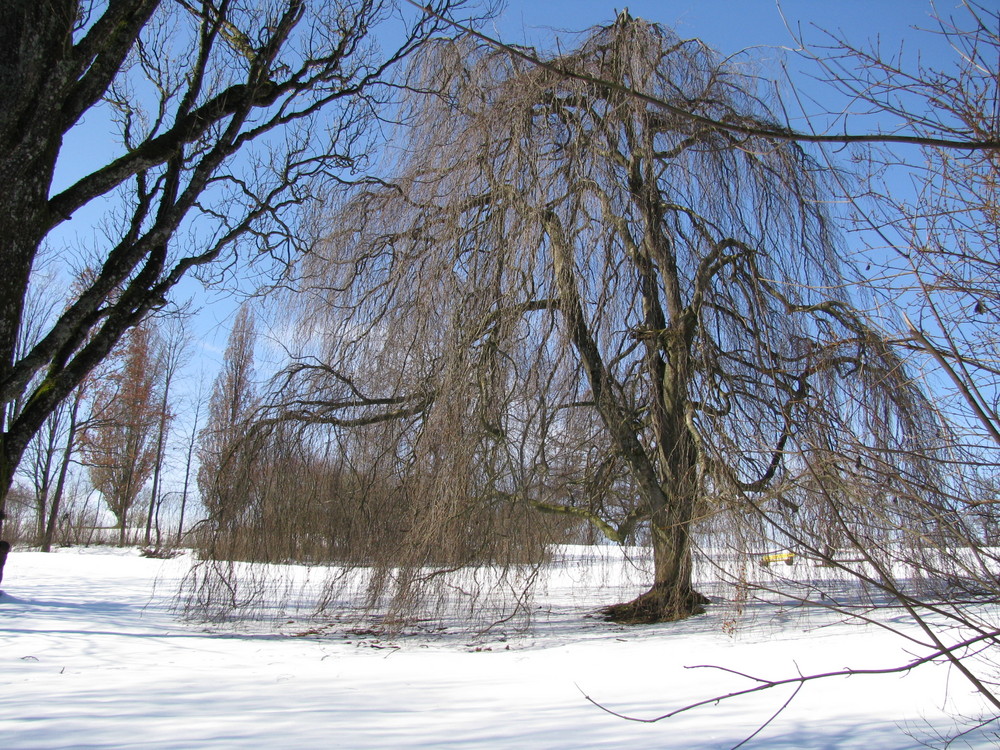 Hohenried...Park...