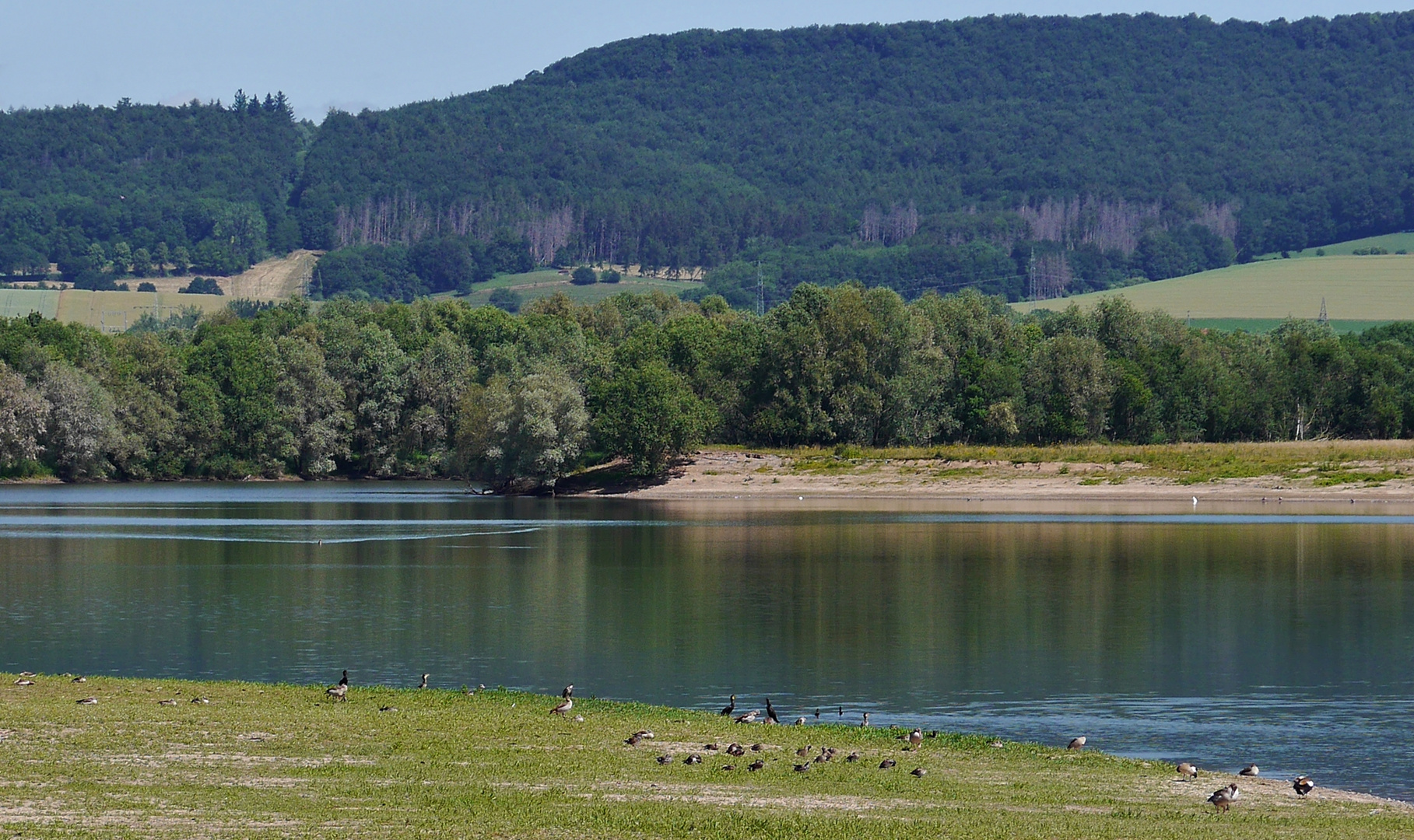 Hohenrode - Auenlandschaft