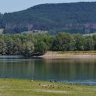 Hohenrode - Auenlandschaft