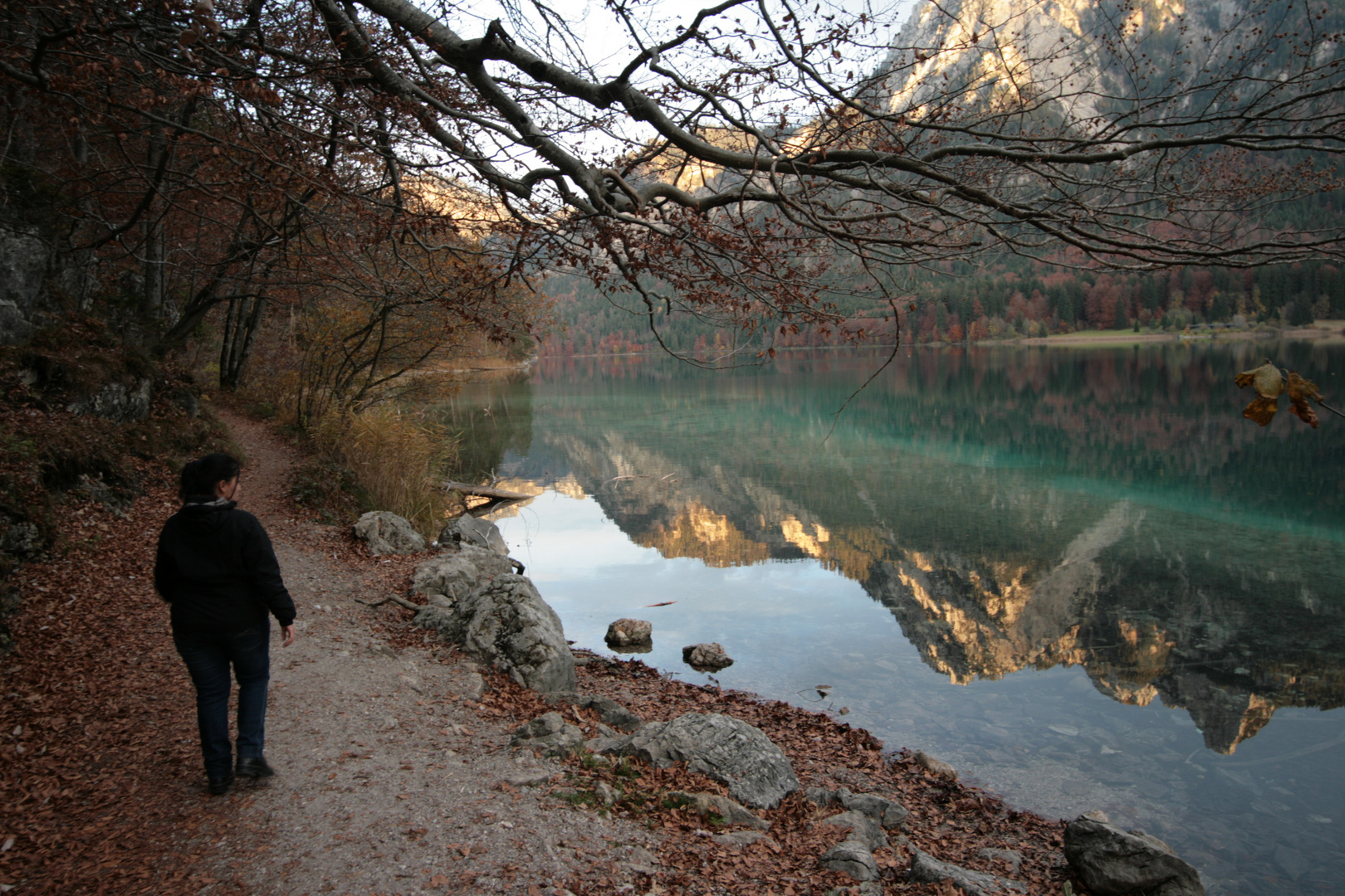 Hohenschwangau - Alpsee