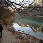 Hohenschwangau - Alpsee