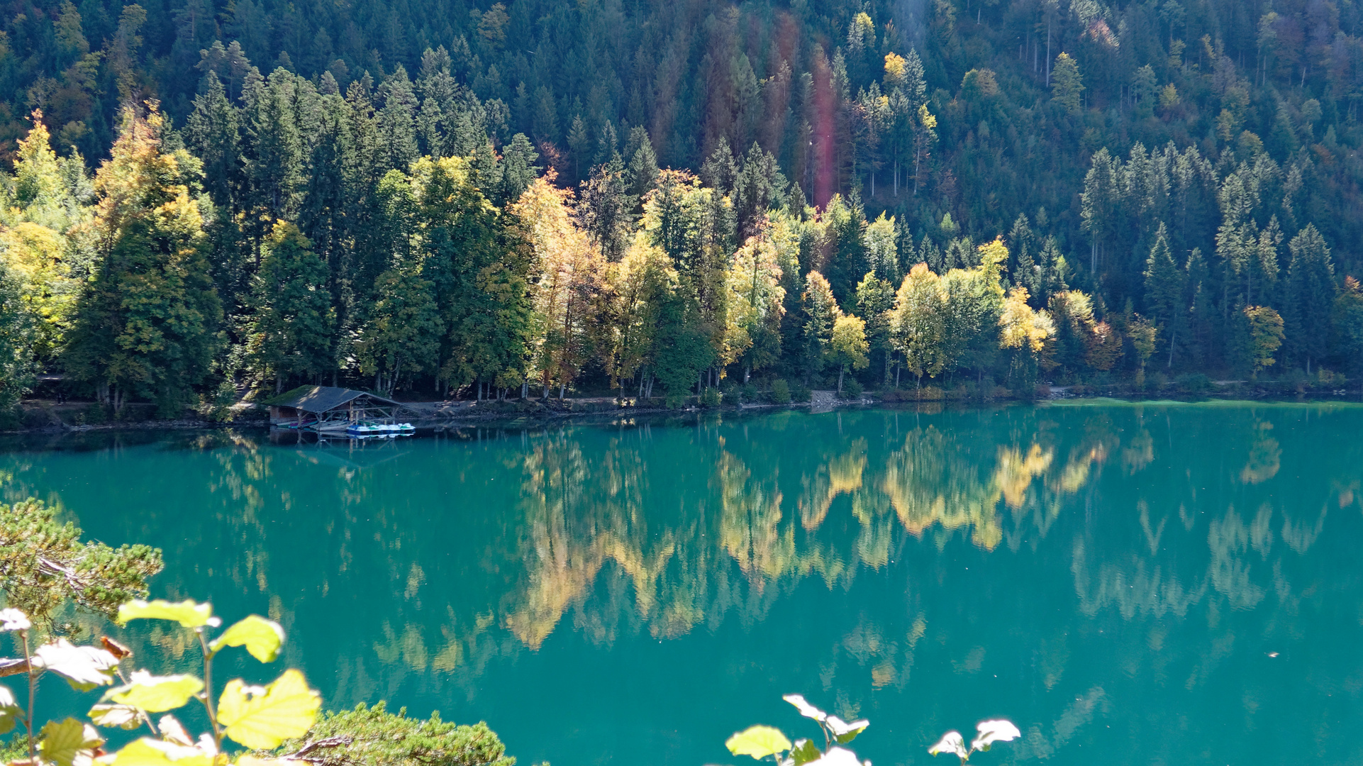 Hohenschwangau Alpsee