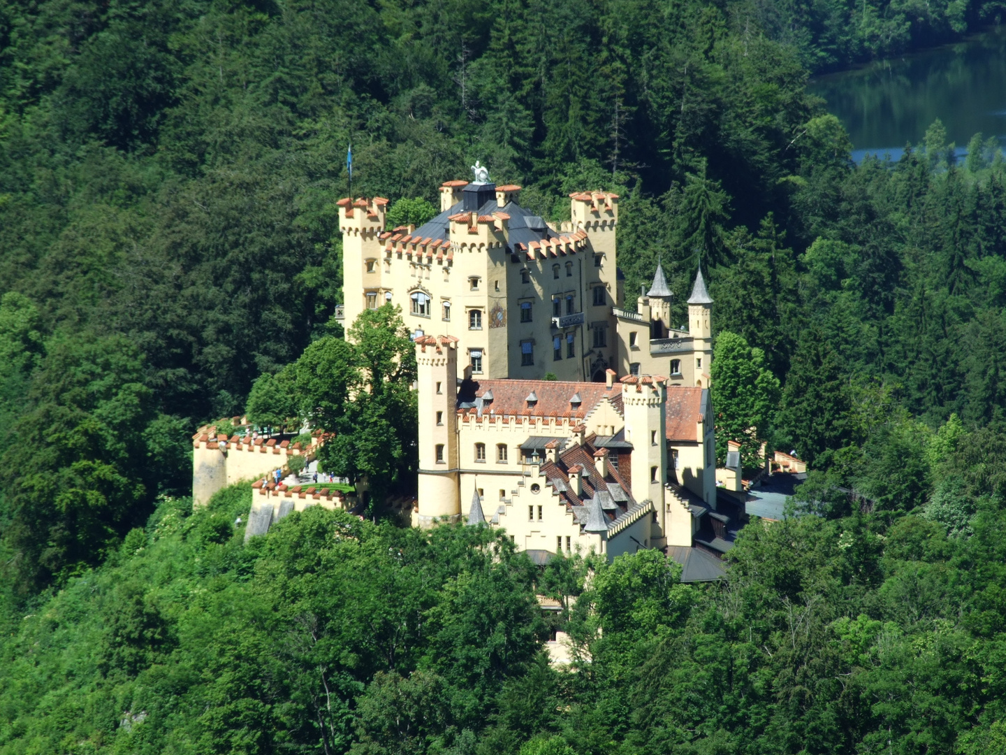 Hohenschwangau