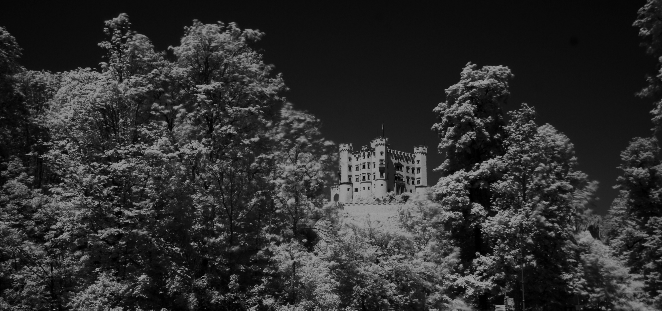 Hohenschwangau