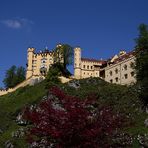 Hohenschwangau im Frühling