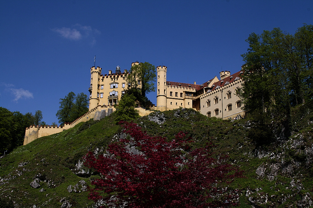 Hohenschwangau im Frühling