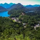 Hohenschwangau von oben