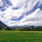 Hohenschwanstein 2015