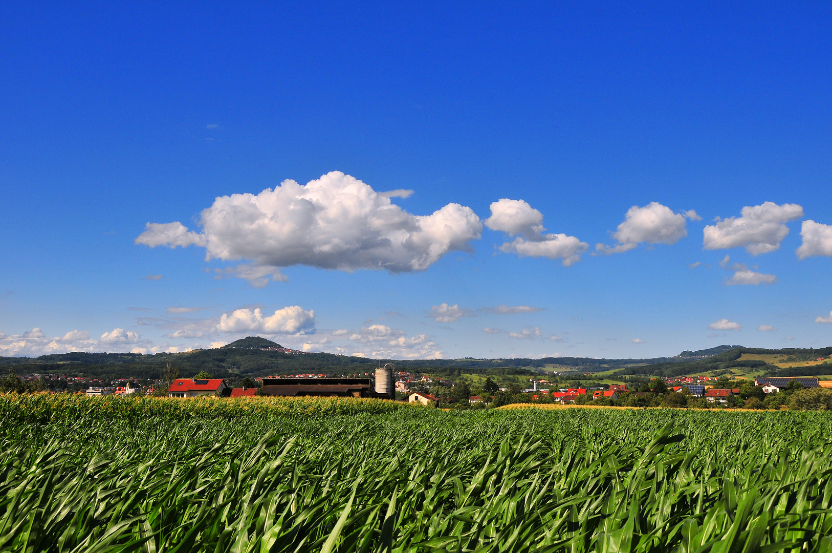 Hohenstaufen