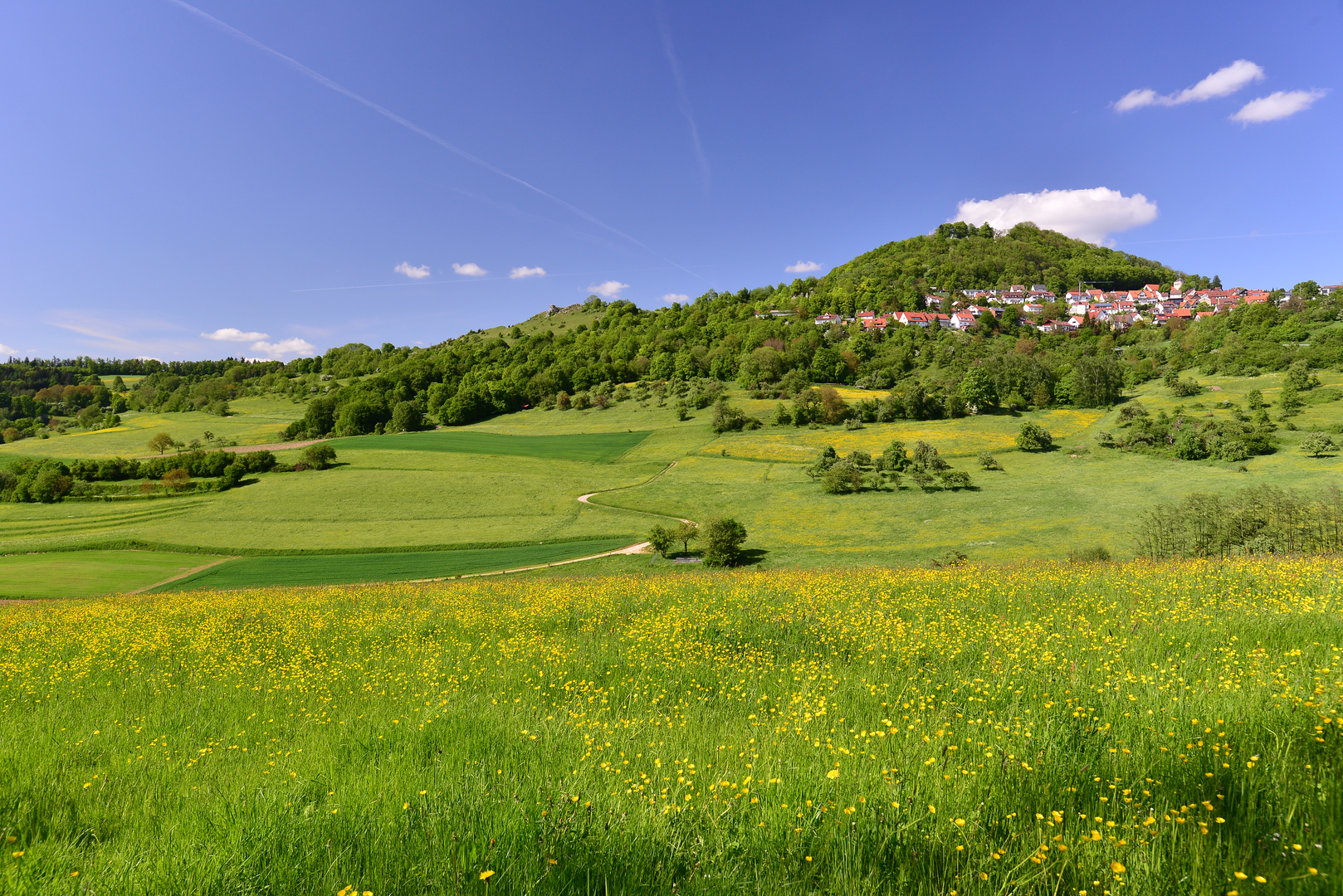 Hohenstaufen