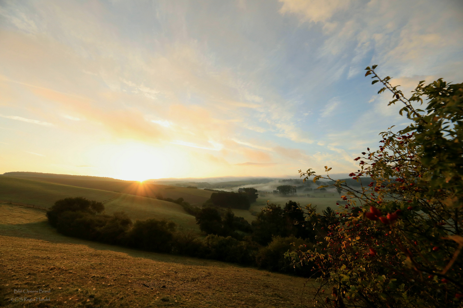 Hohensteinherbst 