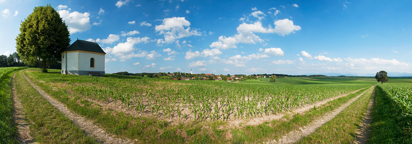 Hohenthann Weiß-Blau