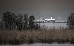 Hohentwiel am nebeligen Bodensee