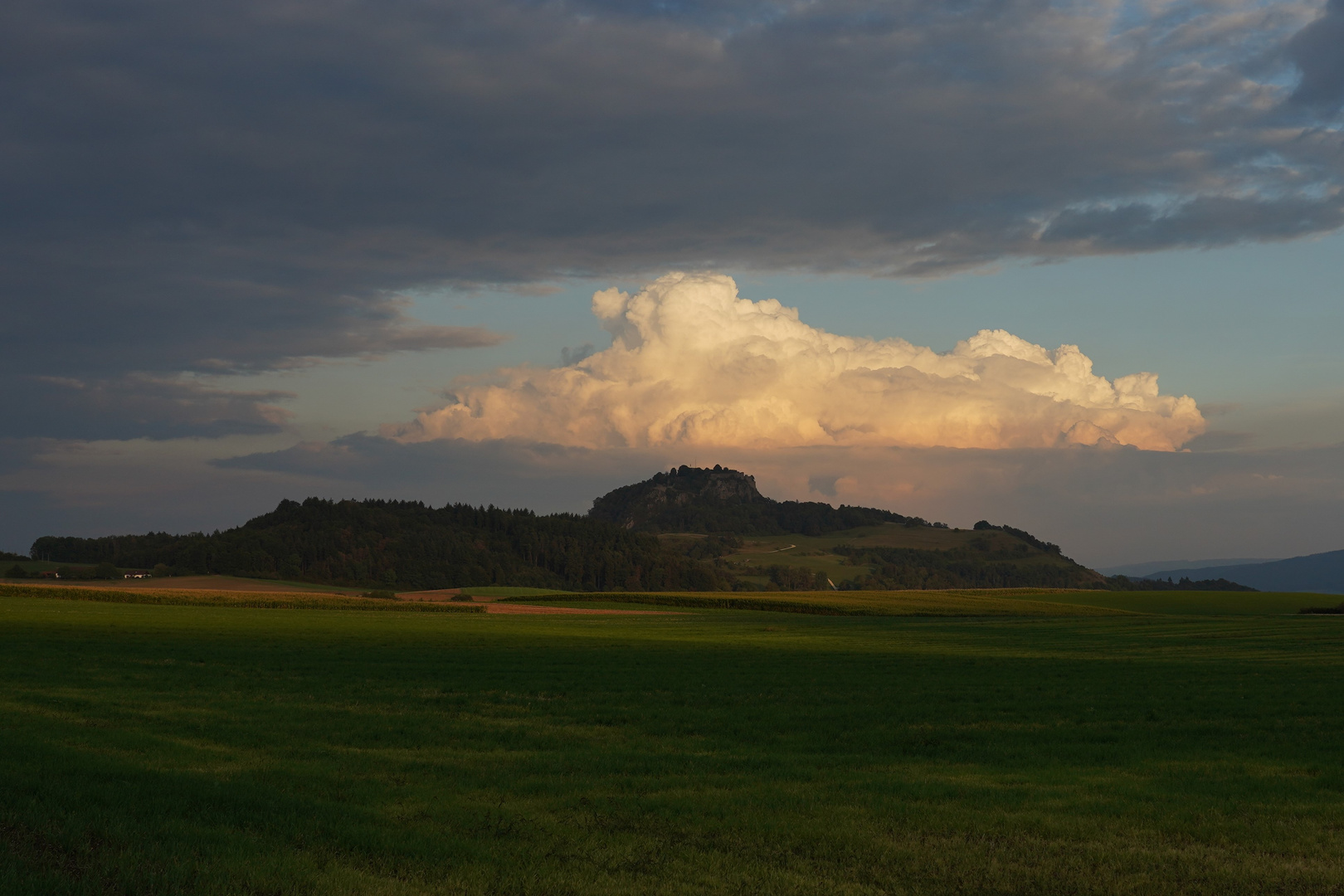 Hohentwiel im Abendlicht