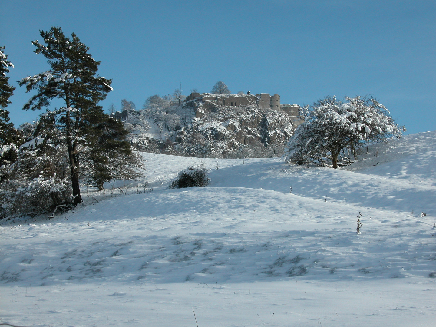 Hohentwiel im eisigen Schnee