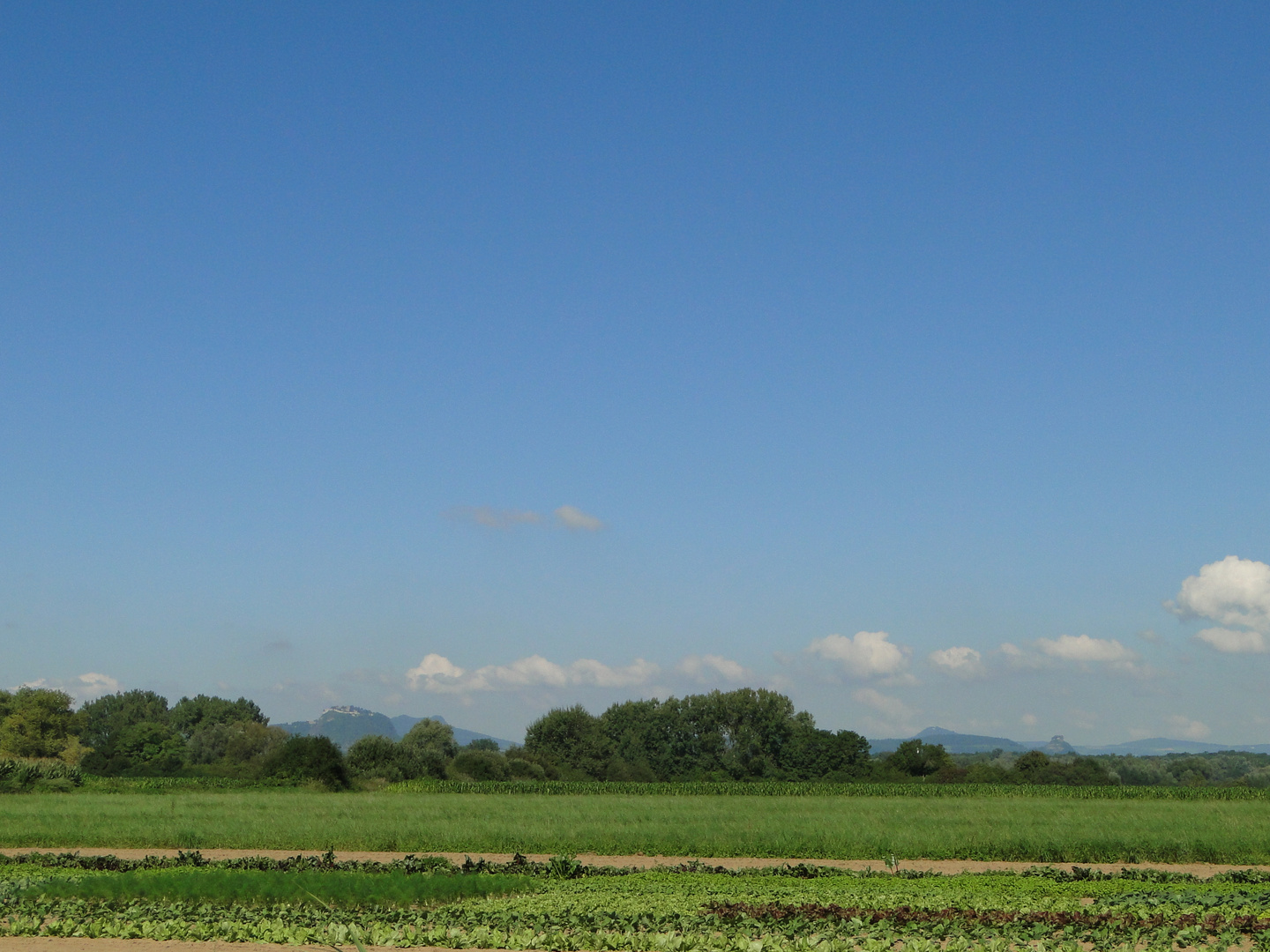 Hohentwiel von Moos(Bodensee/Untersee/Halbinsel Hoeri) aus gesehen...