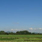 Hohentwiel von Moos(Bodensee/Untersee/Halbinsel Hoeri) aus gesehen...