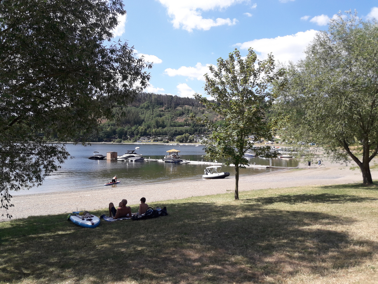 Hohenwartestausee, Alterbucht, Juli 2023