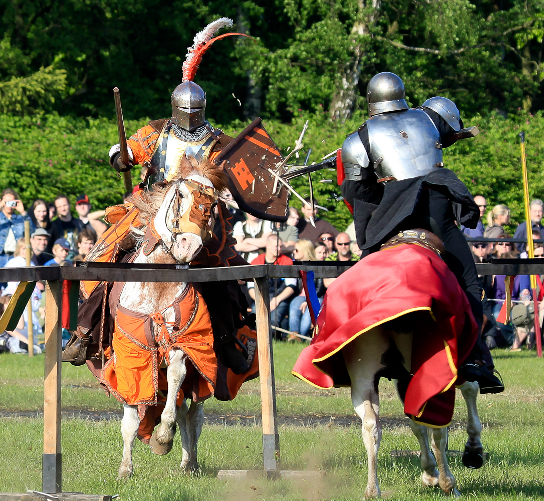 Hohenwestedt 2010 Spectaculum