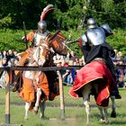 Hohenwestedt 2010 Spectaculum