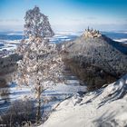 Hohenzollern [16]