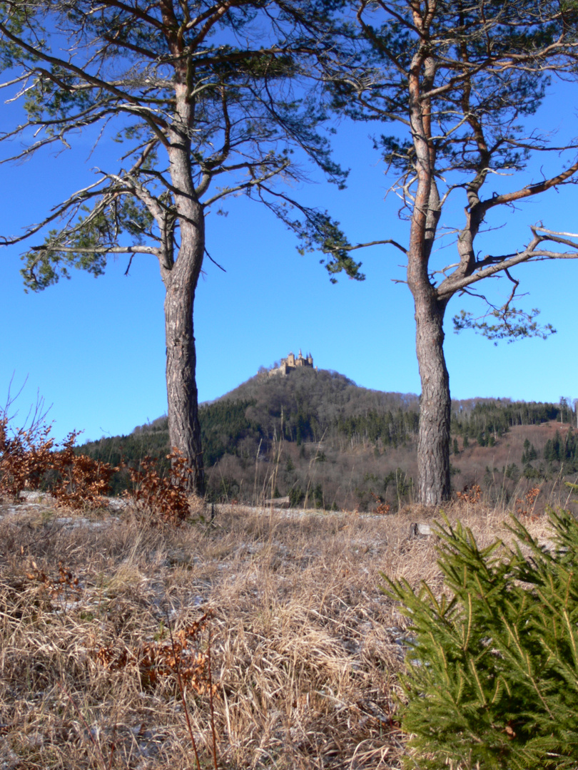 Hohenzollern