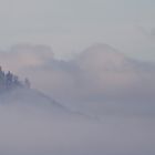 Hohenzollern im Nebel