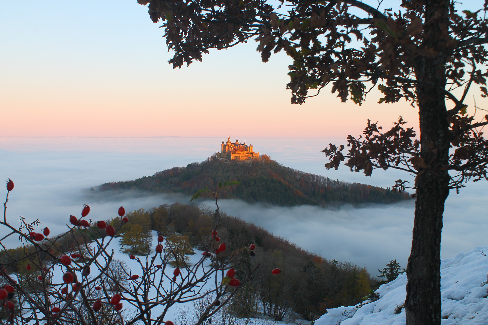 Hohenzollern im Nebelmeer