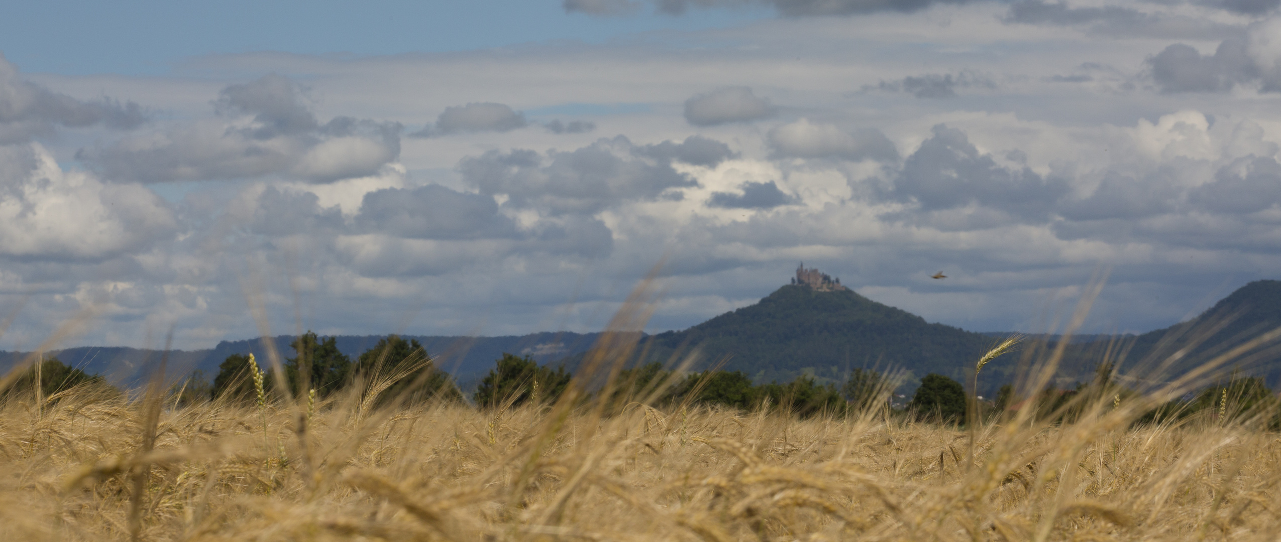 Hohenzollern im Sommer