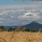 Hohenzollern im Sommer