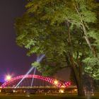 Hohenzollernbrücke an Bäume