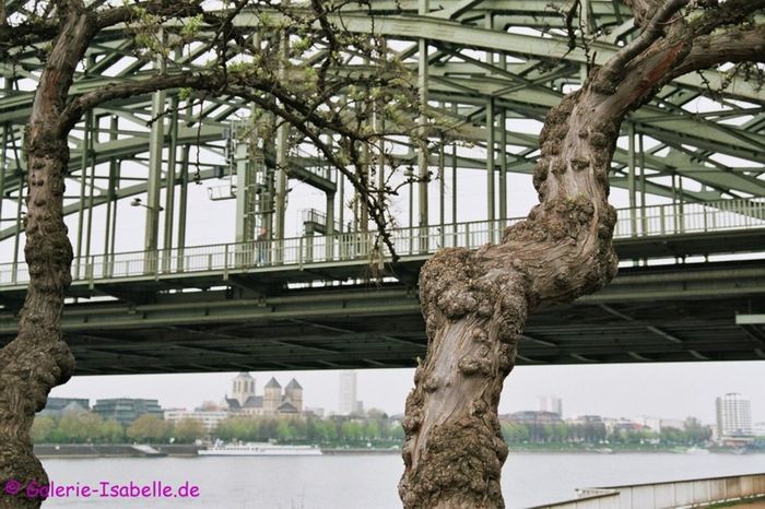 Hohenzollernbrücke in Köln