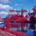 Hohenzollernschloss Sigmaringen II [IR]