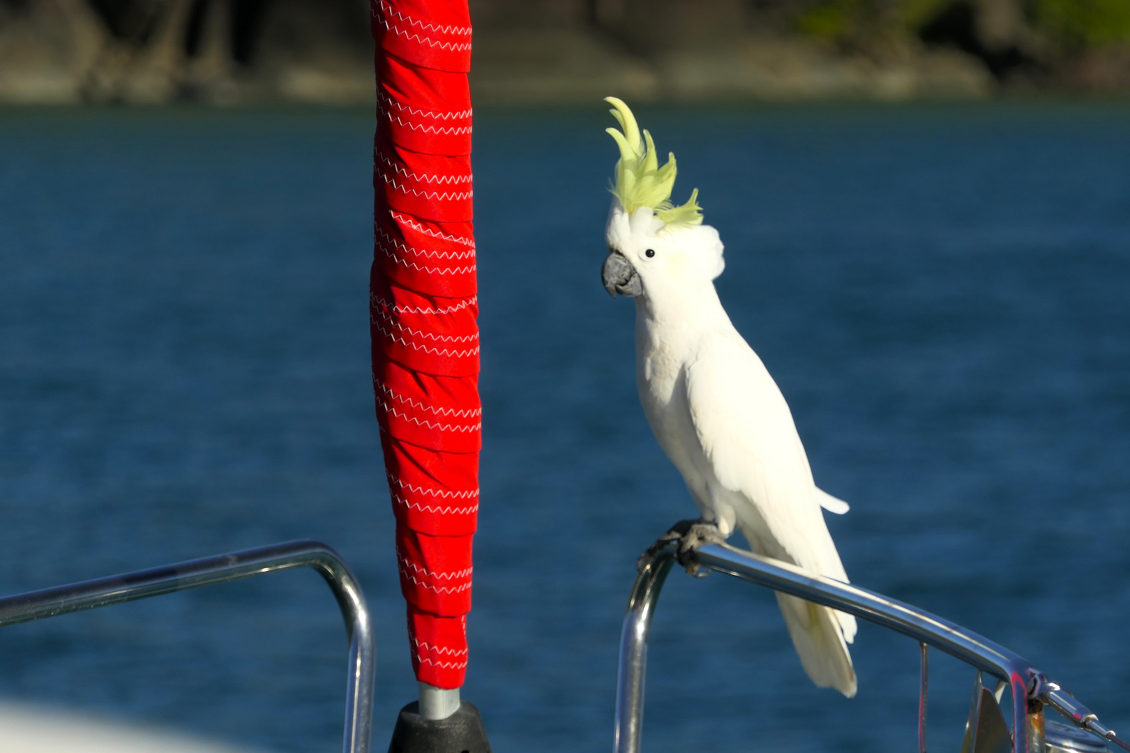 Hoher Besuch an Bord