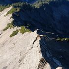 Hoher Freschen - Valüragrat