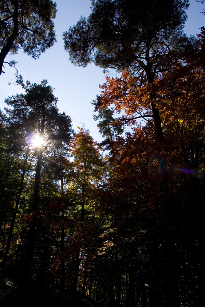 Hoher Herbst