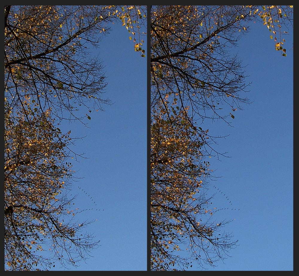 Hoher Herbst Himmel