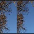 Hoher Herbst Himmel