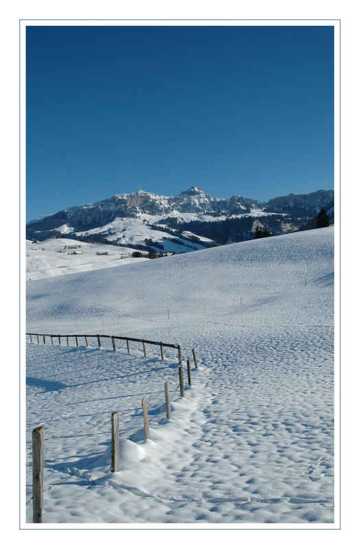 Hoher Kasten 1795 m.ü.M 2#