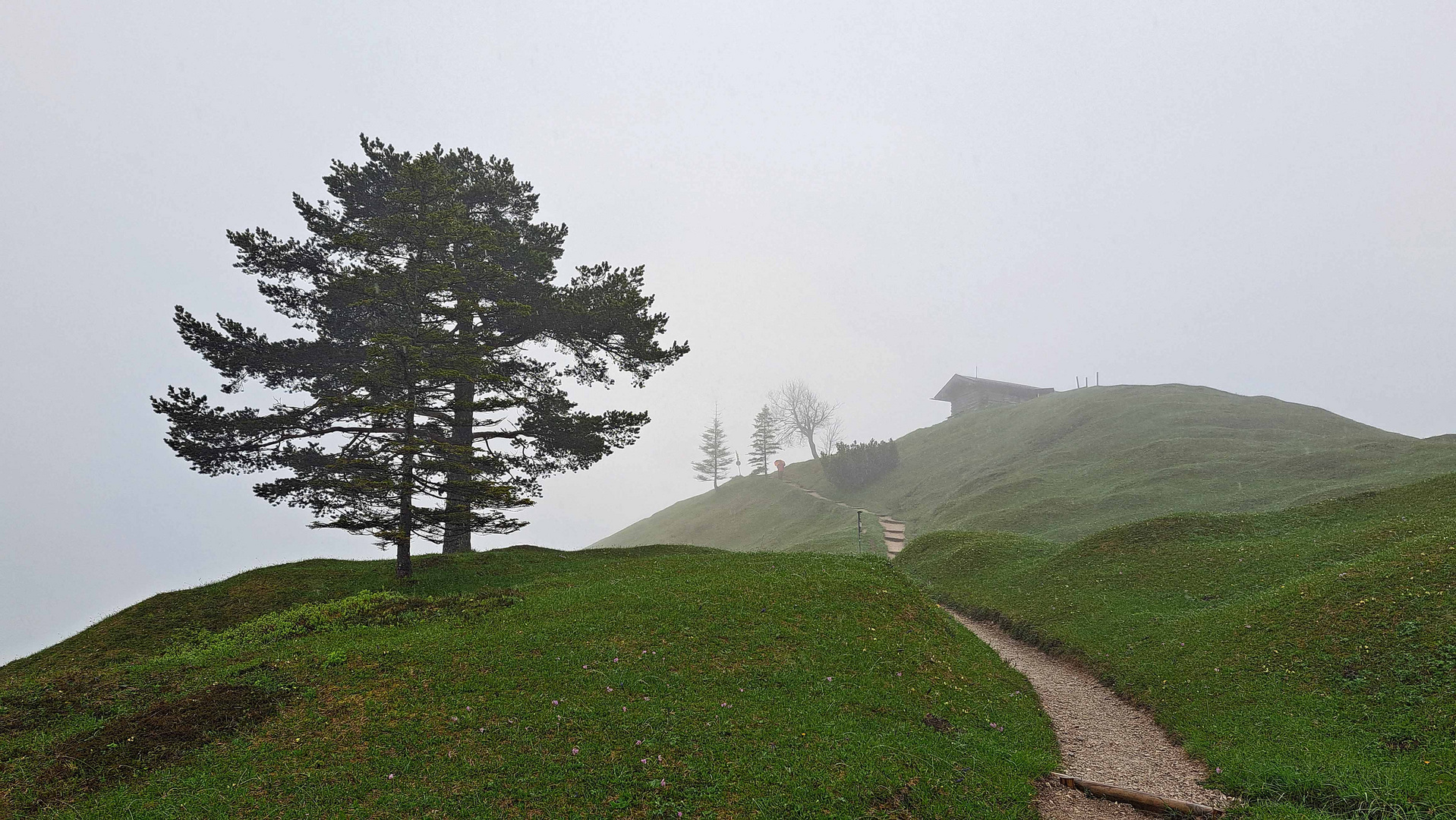 Hoher Kranzberg (1391m)