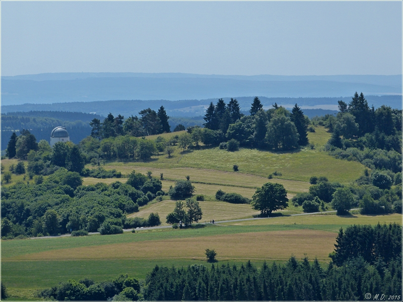 'Hoher List' in der Vulkan Eifel.....