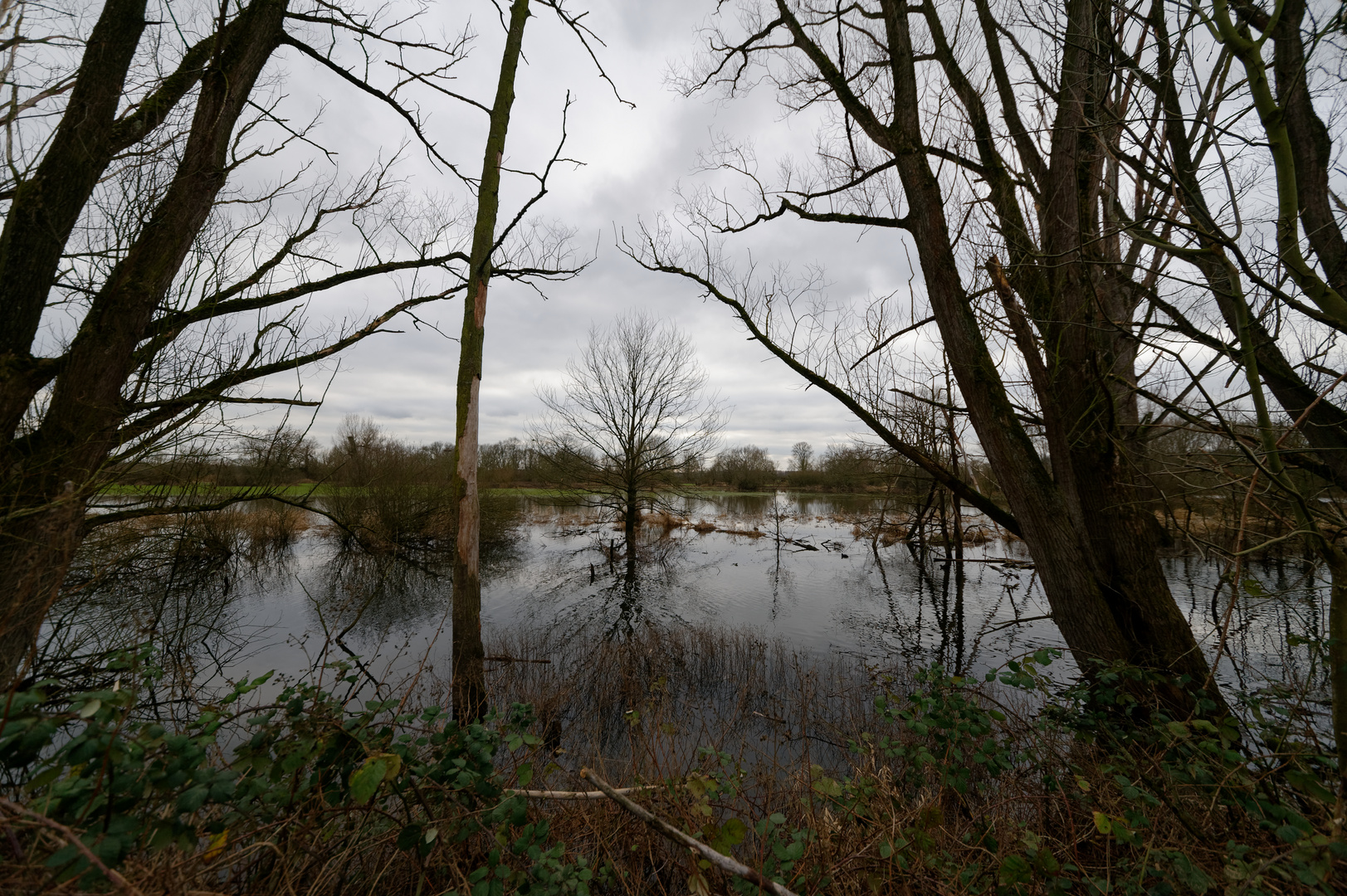 Hoher Wasserstand (2020)