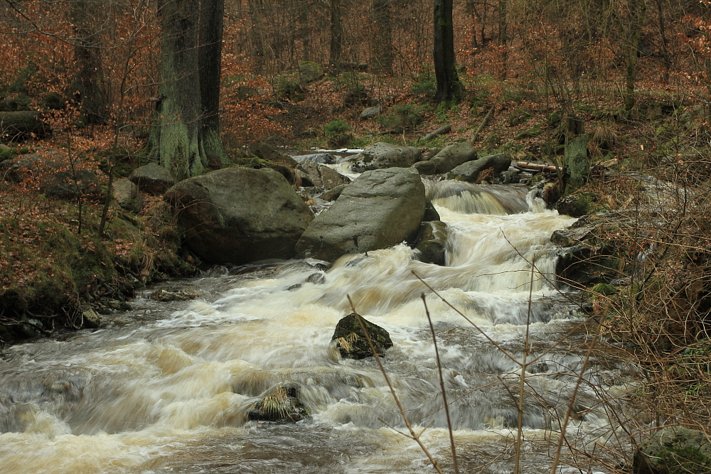 Hoher Wasserstand