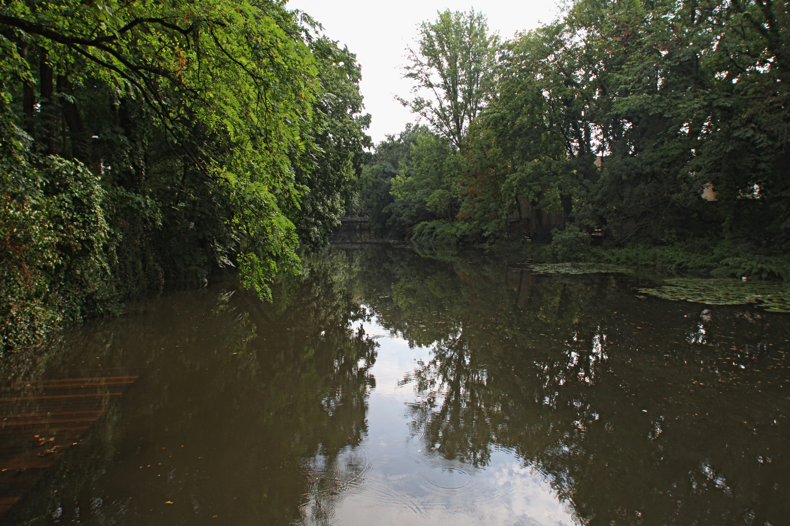 Hoher Wasserstand am Wehr